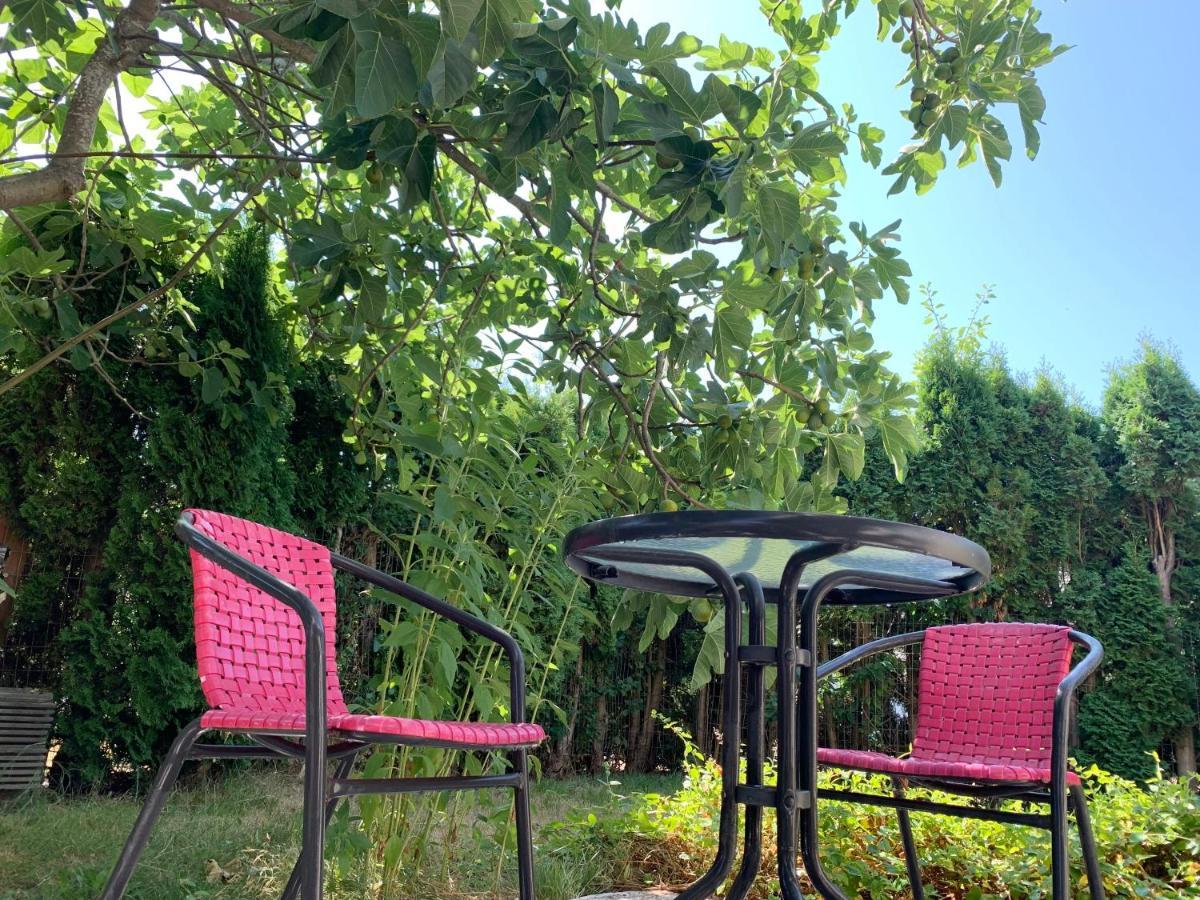 One Bedroom Queen Bed Sharing Washroom In Tiger Sweet House License## Richmond Buitenkant foto